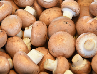 Cogumelos Castanhos